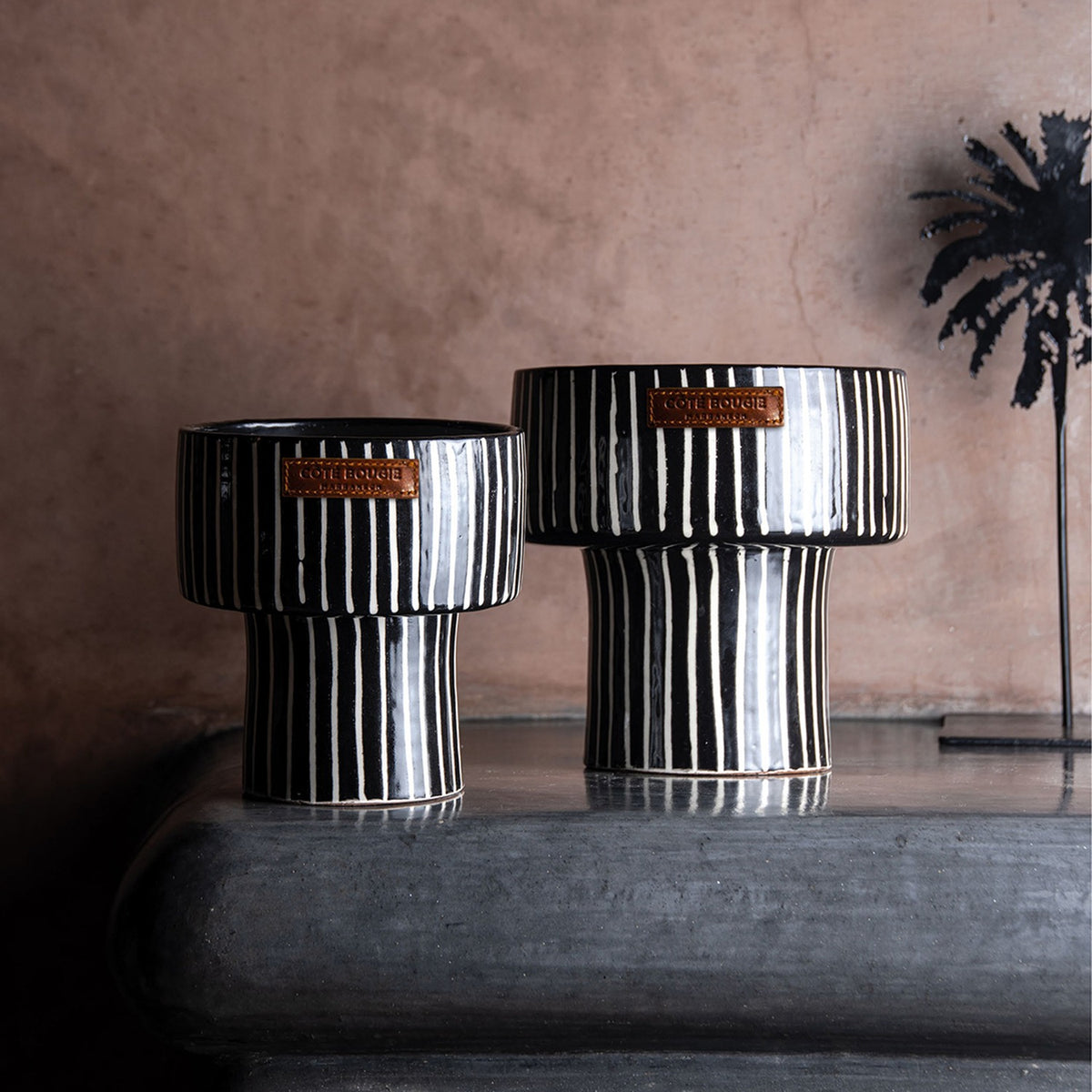 DUFTLYS COUPE ZEBRE